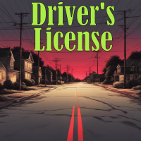 Drivers License - Instrumental cover